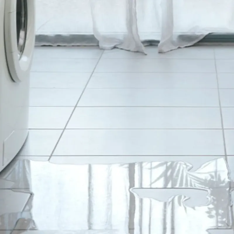 Appliance Leak Cleanup in LaFayette, GA