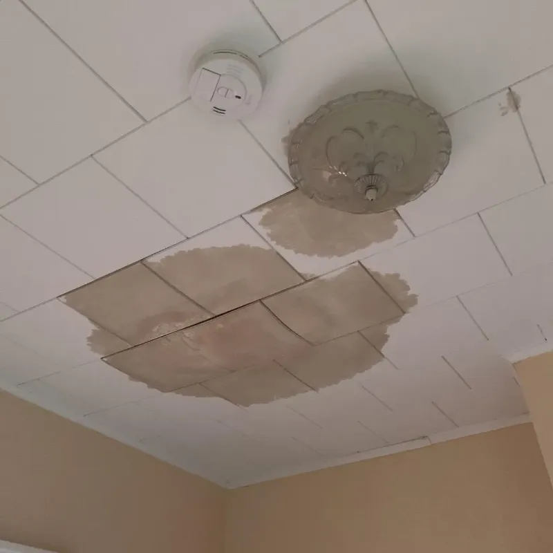 Ceiling Water Damage Repair in LaFayette, GA