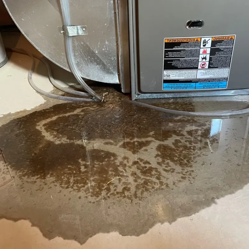 Pipe Burst and Leak Restoration in LaFayette, GA