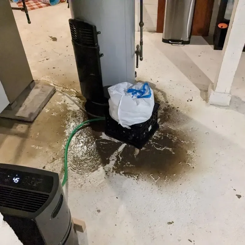 Sewage Backup Cleanup Service in LaFayette, GA
